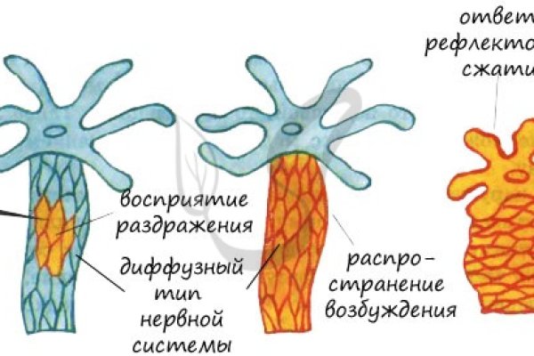 Kraken ссылка onion 2kmp