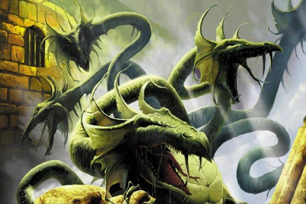 Kraken forum