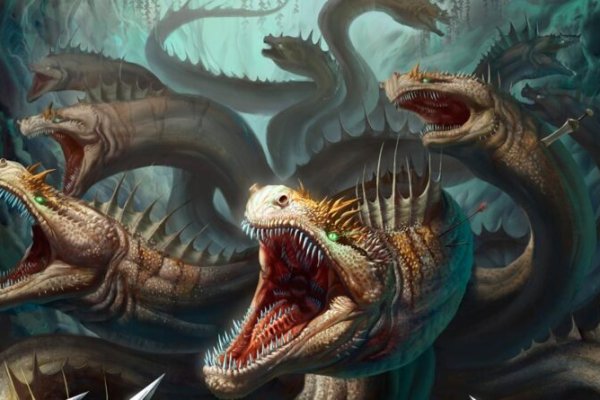 Kraken 12